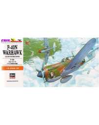 Maqueta P-40N Warhawk